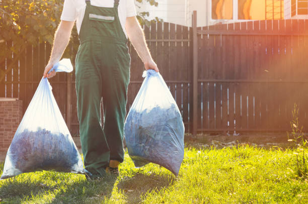 Best Office Junk Removal  in Dupo, IL